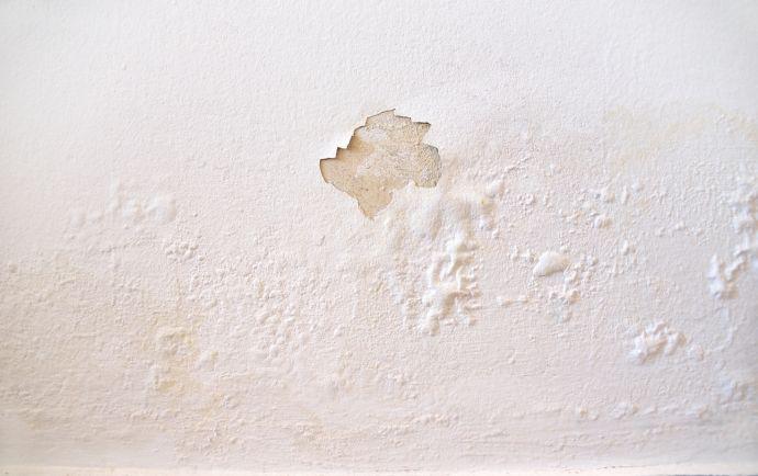 Muur met afbladderende verf als gevolg van vocht in huis